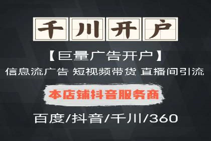 搜索引擎竞价推广实战：行业领先企业的成功秘诀